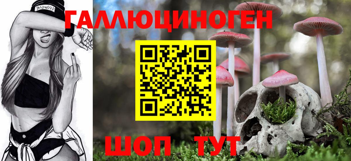 Тосно  Галлюциногенные грибы Psilocybine cubensis  Вход с VPN  Галлюциногенные грибы ЛСД 