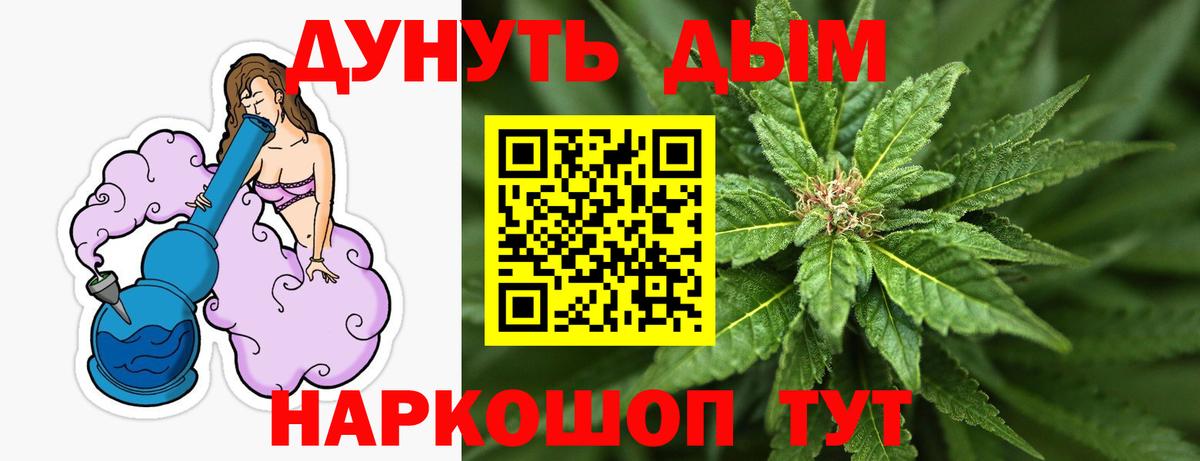 Канабис OG Kush Тосно